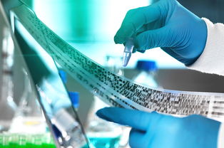 2019年，教育咨詢服務(wù)公司經(jīng)營范圍的“黃金寫法”，讓你賺翻的秘訣